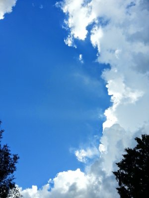20140524_145831.jpg