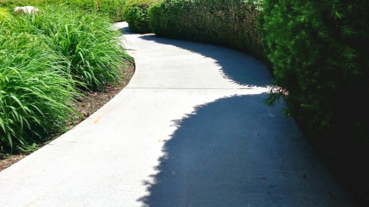 image_6.jpg