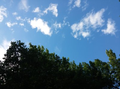 20140619_174158.jpg