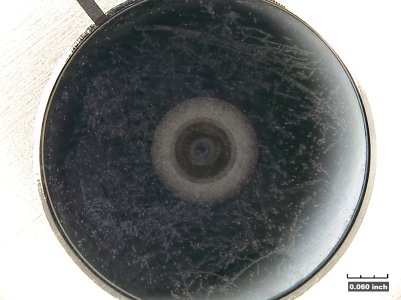 Lens_001.jpg