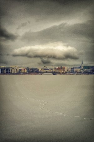 2014-03-19 12.33.23.jpg