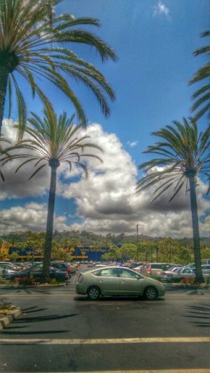 IMAG0046_1.jpg