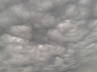 2011-08-24 17.05.11.jpg