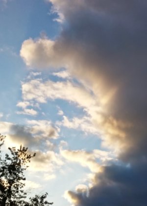 0614141959a.jpg