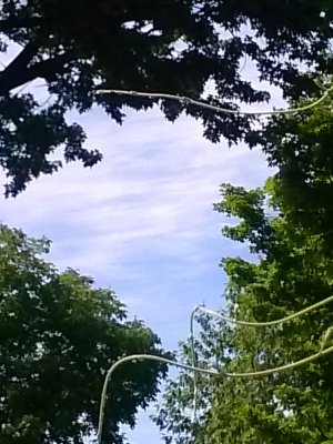 CAM00004.jpg