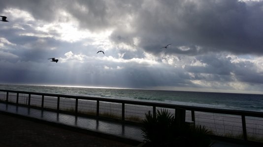 20131203_090142.jpg
