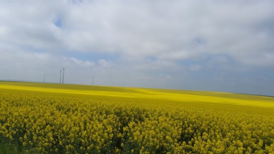 20140503_122003_000.jpg
