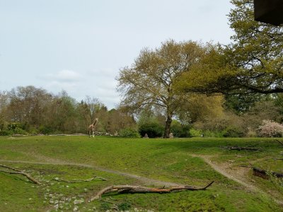 weekly-photo-contest-green.jpg