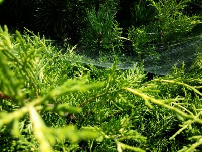 20140705_132545.jpg