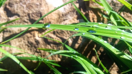 image_4.jpg