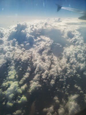 IMG_20140507_085755.jpg