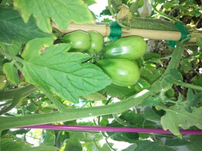 20140710_092830.jpg