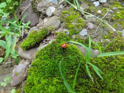 20120815_150136.jpg