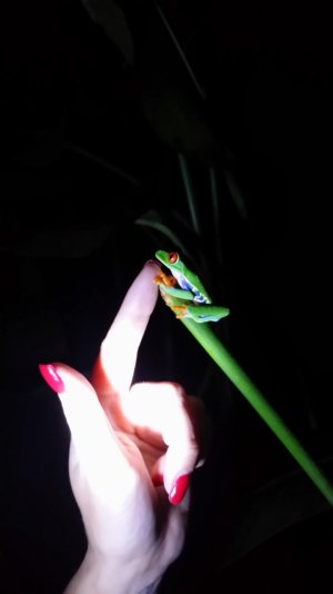FingerFrog.jpg
