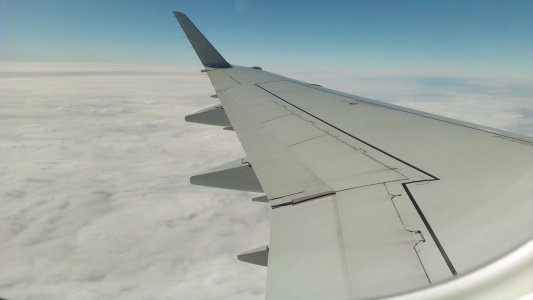 IMAG0787.jpg