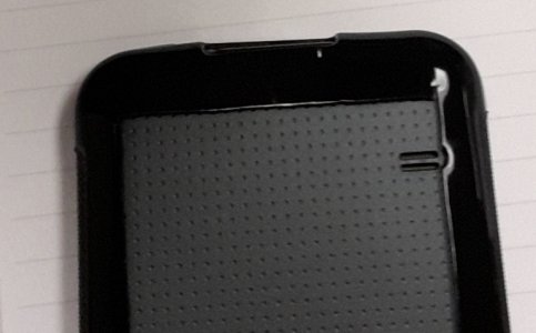 back_closeup.jpg