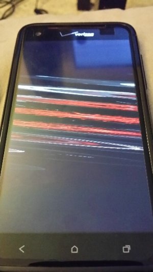 DNA-screen-2.jpg