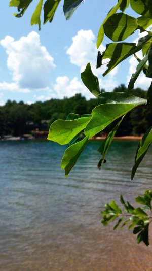 20140703_150524_1.jpg