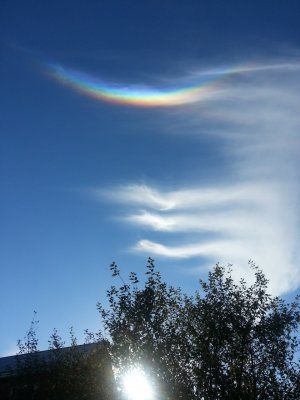 20131003_164318.jpg