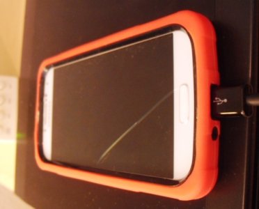 DSCI0447.JPG