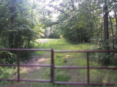 IMG_20140710_173230[1].jpg