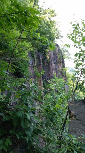20140629_144735.jpg