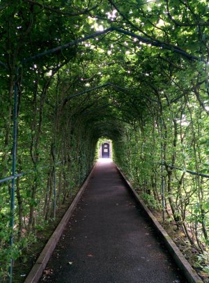 GreenTunnel.jpg