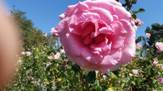 20140625_161227.jpg