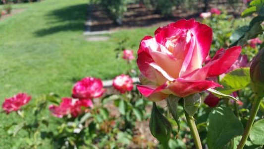 20140625_160832.jpg