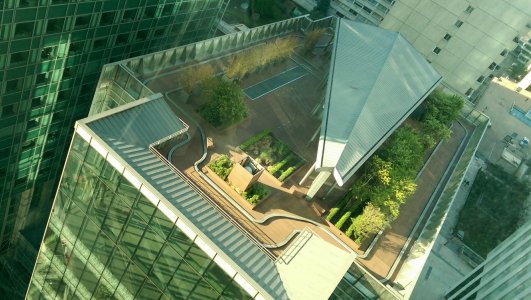 IMAG0230_1.jpg