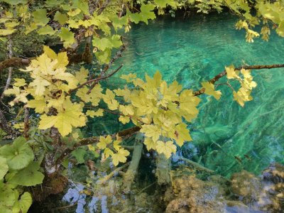 IMG_20130719_123248.jpg