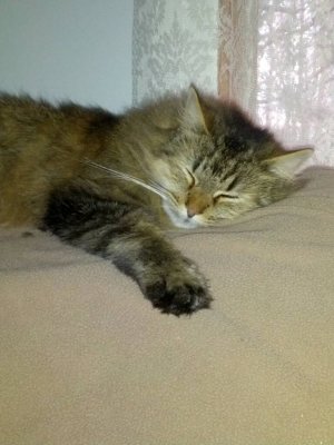 uploadfromtaptalk1403831177826.jpg