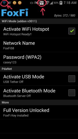 Foxfi Pic 3.jpg