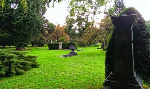 IMAG0740.jpg