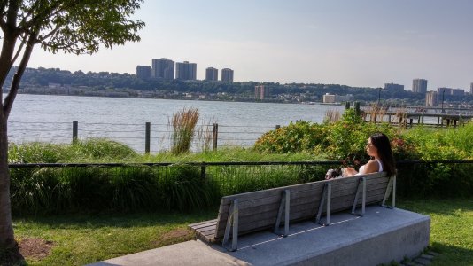 20140712_165144_HDR[1].jpg