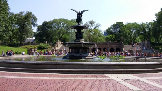 20140712_152434_HDR[1].jpg