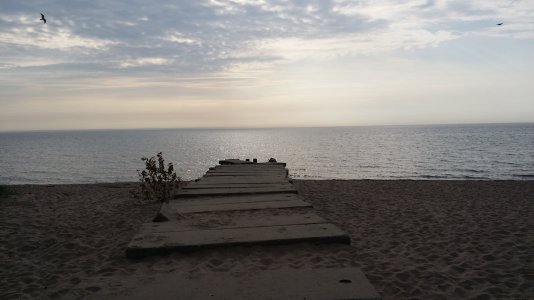Beach.jpg
