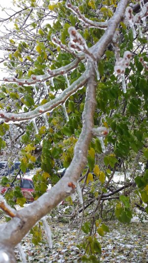 20131206_151242.jpg