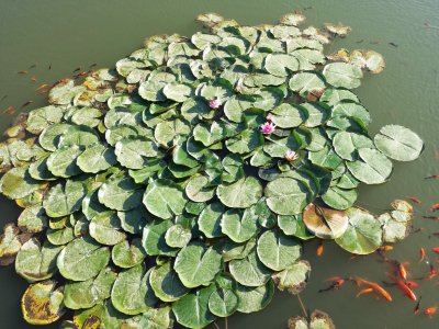 20130907_175107.jpg