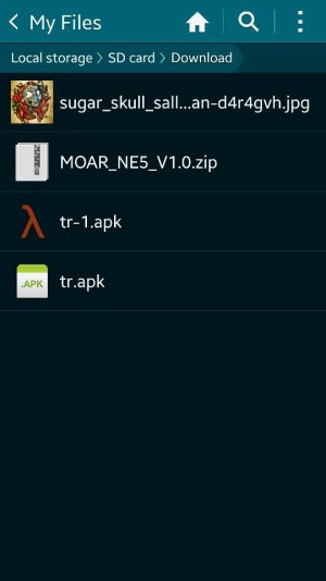 Screenshot_2014-06-30-00-21-05.jpg