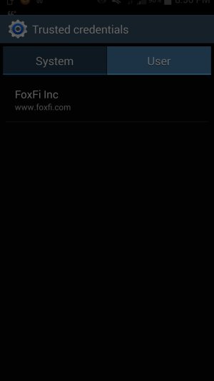Foxfi Pic 3.jpg