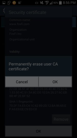 Foxfi Pic 5.jpg