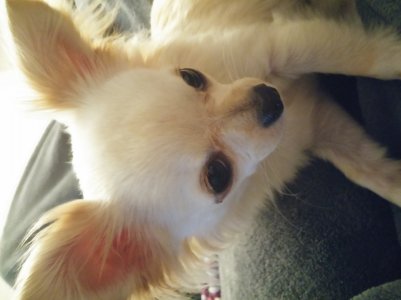 20140715_001554.jpg