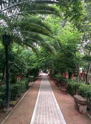 Parque Juarez.jpg