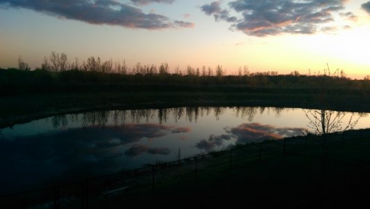 IMAG0106.jpg