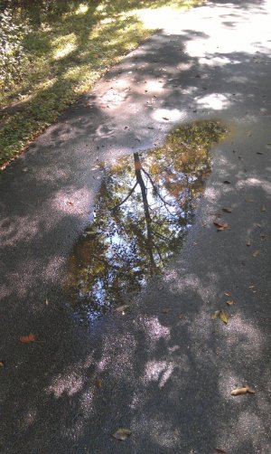 IMAG0103.jpg