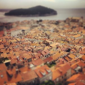 IMG_20120930_130516.jpg