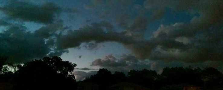 IMAG0156_2.jpg