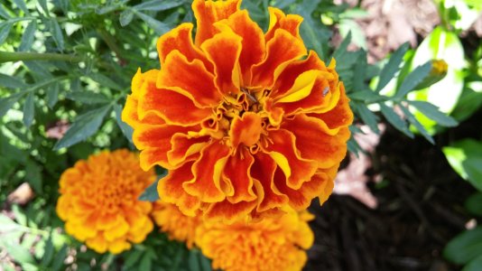 20140730_132519_Burst02.jpg