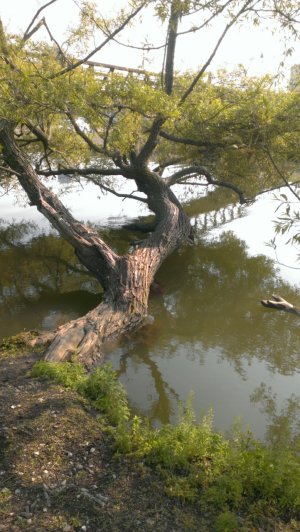 IMAG1443.jpg